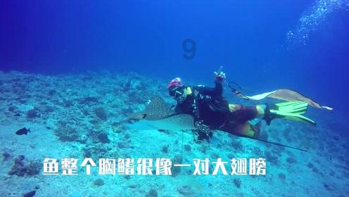 仰望上海首家中心店开业:U8、U9同框 百万气质拉满
